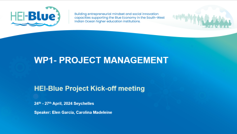 HEI-Blue Kick-off Meeting Work Package 1 Presentation